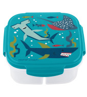Lunchbox Shark With Ice Pack - Stephen Joseph