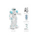 Intelligent Electric Remote Control Robot