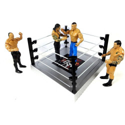 4 Wrestling Action Figures Models Set