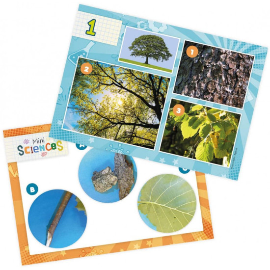 مجهر العلوم المصغرة