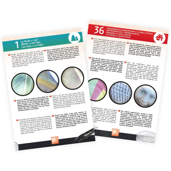 مجهر ثنائي العينين