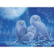 Owls In Moonlight - 500 Pcs