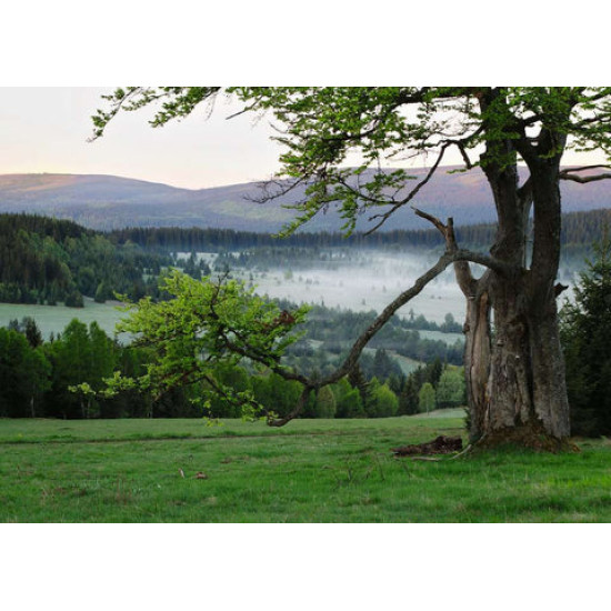 أحجيه رافنبرغر - 1000 قطعة