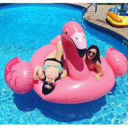 Flamingo Ride - On - INTEX