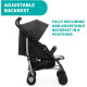 Chicco Echo Stroller with Bumper