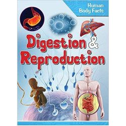 Digestion and Reproduction - Human Body Facts