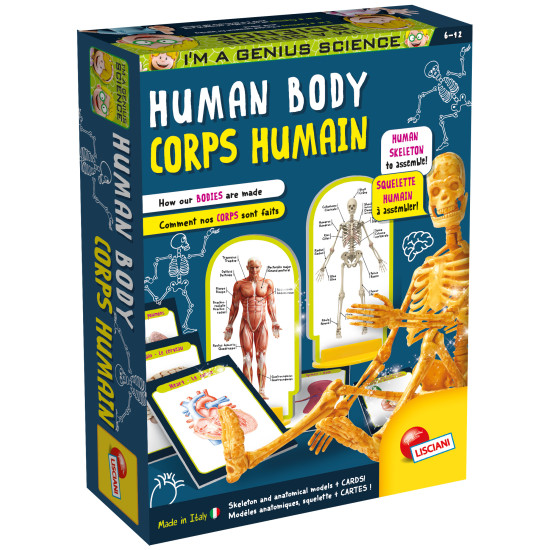 Human Body - I'M A Genius Science