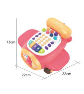 Multifunction Music Educational Plane - Pink