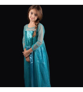 Frozen Elsa Classic Costume Dress