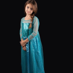 Frozen Elsa Classic Costume Dress