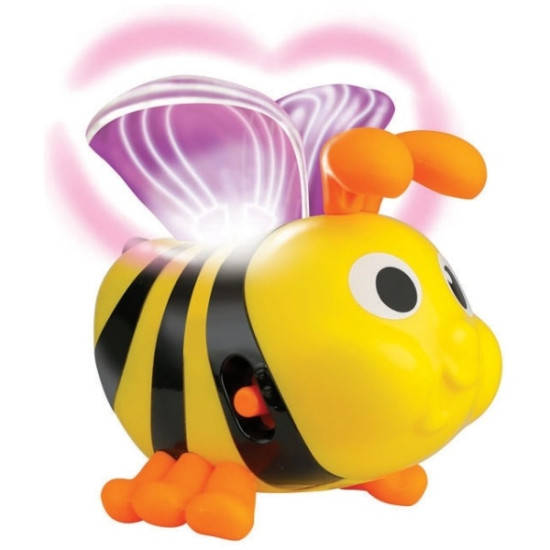 Stack Learn Bee and sunFlowers