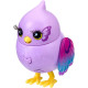 Little Live Pets Bird Series 11 Single Pack- Flutter Tail