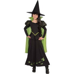 Wicked Witch Of The West Costume