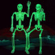Glow In The Dark Plastic Skeleton Decoration /1Pc