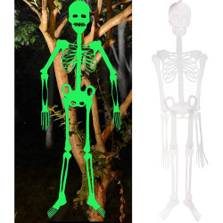 Glow In The Dark Plastic Skeleton Decoration /1Pc