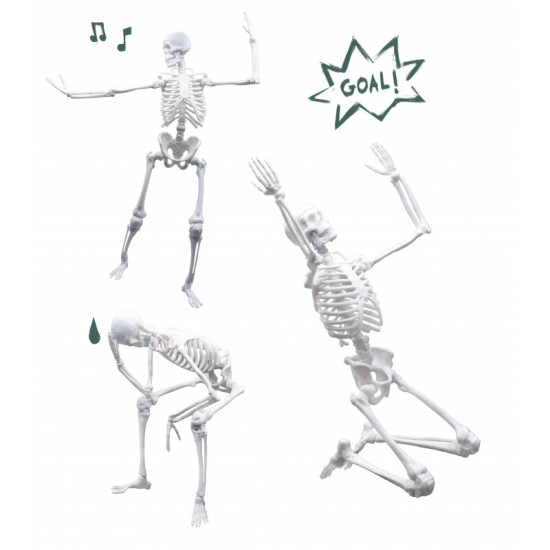 Skeleton 45 cm