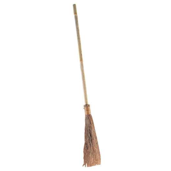 Witch Broom