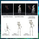 Halloween Skeleton Skull Groom Hanging Decorations /1Pc