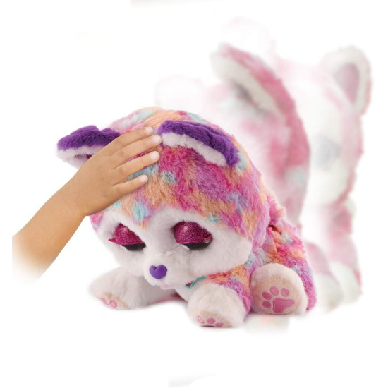 Hope the Rainbow Husky