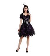 Fancy Dress Witch Costume