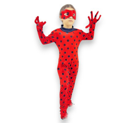 Ladybug Costume
