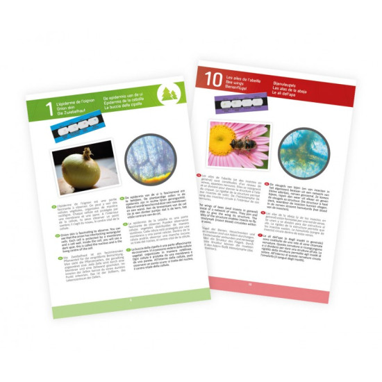 Microscope 15 Experiments