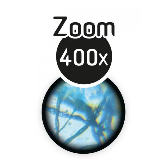 Microscope 15 Experiments