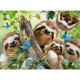 Sloth Selfie Puzzle - 500 Pcs