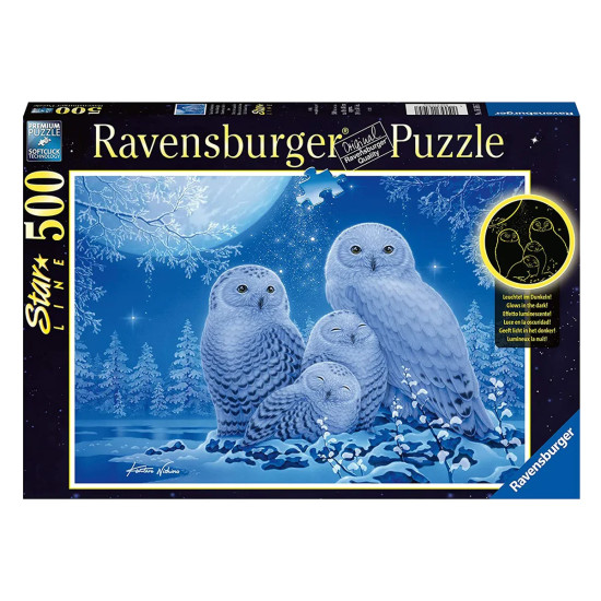 Owls In Moonlight - 500 Pcs