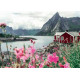 Lofoten Norway - 1000 Pcs