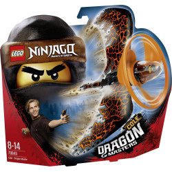 NINJAGO Champion Cole - LEGO