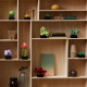 Botanical Collection Succulents - LEGO