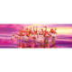 Panorama Puzzle Flamingo Dance 1000Pcs