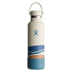 Standard Mouth 21 oz Insulated Steel Bottle - Hydro Flask