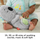 Breathing Koala - Fisher-Price