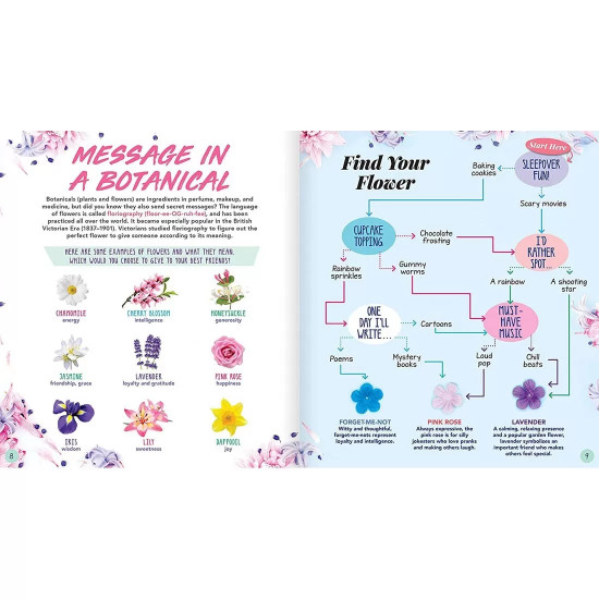 مجموعة ملمع الشفاه ستوديو كرافت