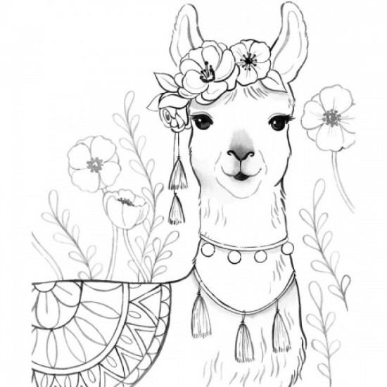 Watercolor Dreams - Klutz