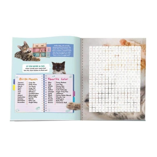 Mosaic Picture Poster Kittens - Klutz