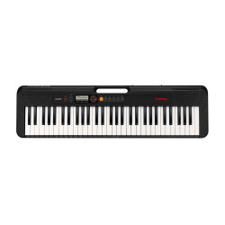 Casio Portable Keyboard Piano