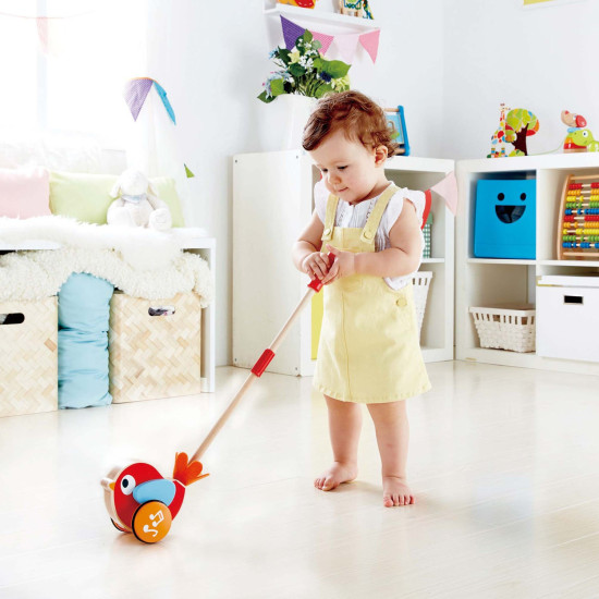 Lily Musical Push Along - Hape