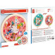 Jobs Roundabout Puzzle - Hape