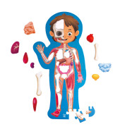 Human Body Puzzle - Hape