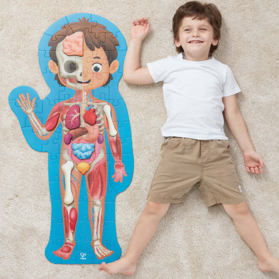 Human Body Puzzle - Hape