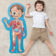 Human Body Puzzle - Hape