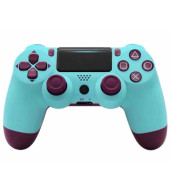 Copy PS4 Controller