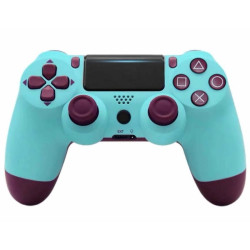 Copy PS4 Controller