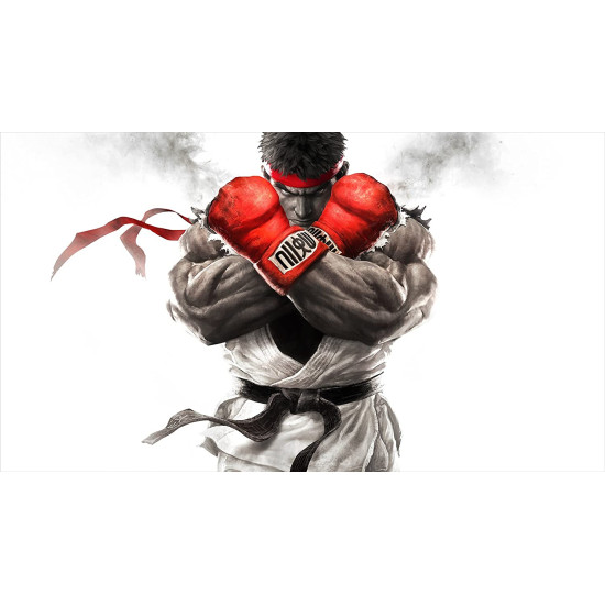 Street Fighter V Standard Edition PS4