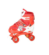 4 Wheel Skating Shoes