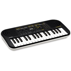 Casio Mini Keyboard Piano - 32 Mini Size Keys - Black