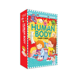 Human Body Flash Cards